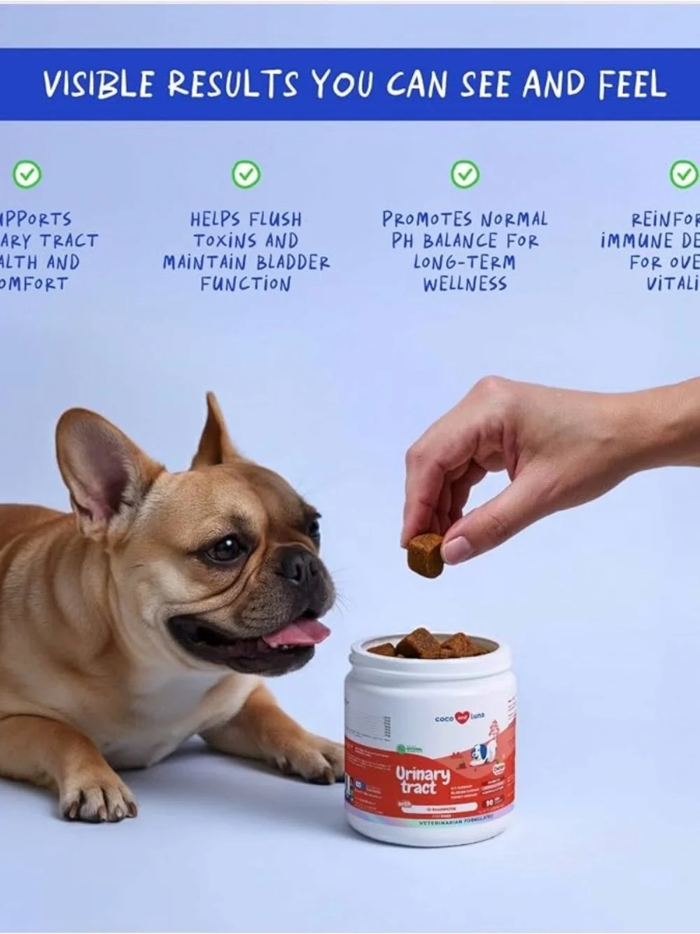 Coco and Luna Urinary Tract Support Soft Chews - Chicken Flavor